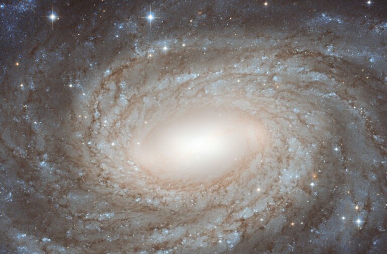 NGC 6384