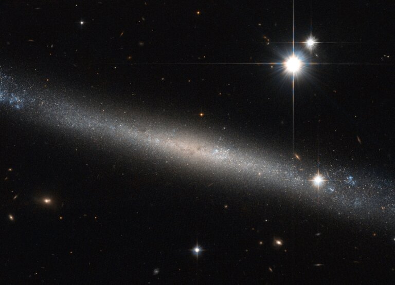 IC 2233