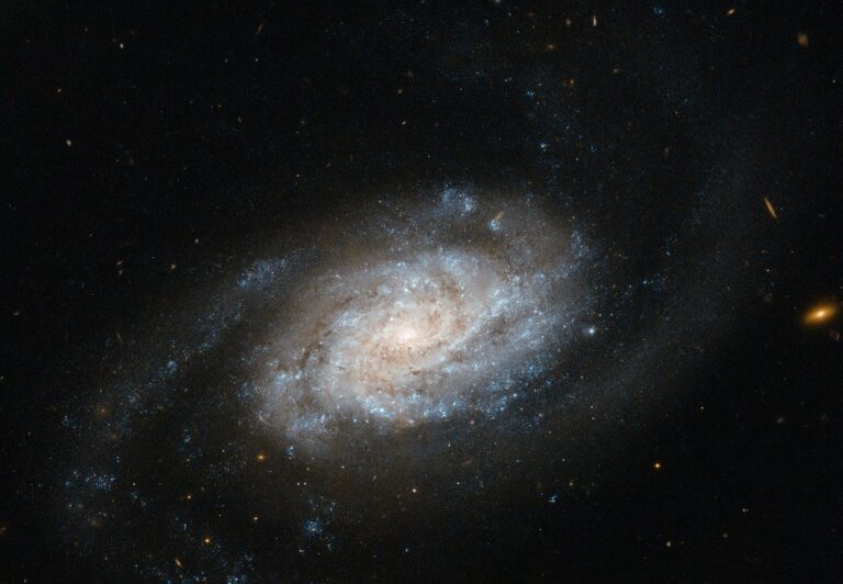 NGC 3455