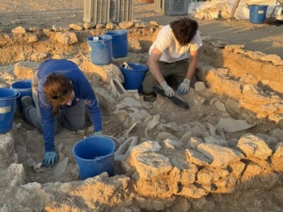 Starożytne fortyfikacje z Pyla-Vigla. Archeolodzy odsłaniają kolejne sekrety hellenistycznej osady sprzed ponad 2 tys. lat
