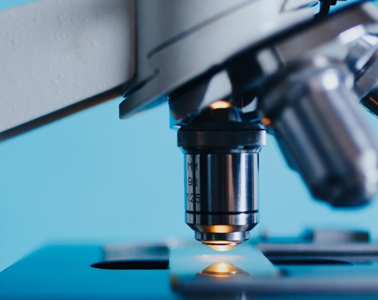 Podkarpacki Festiwal Nauki