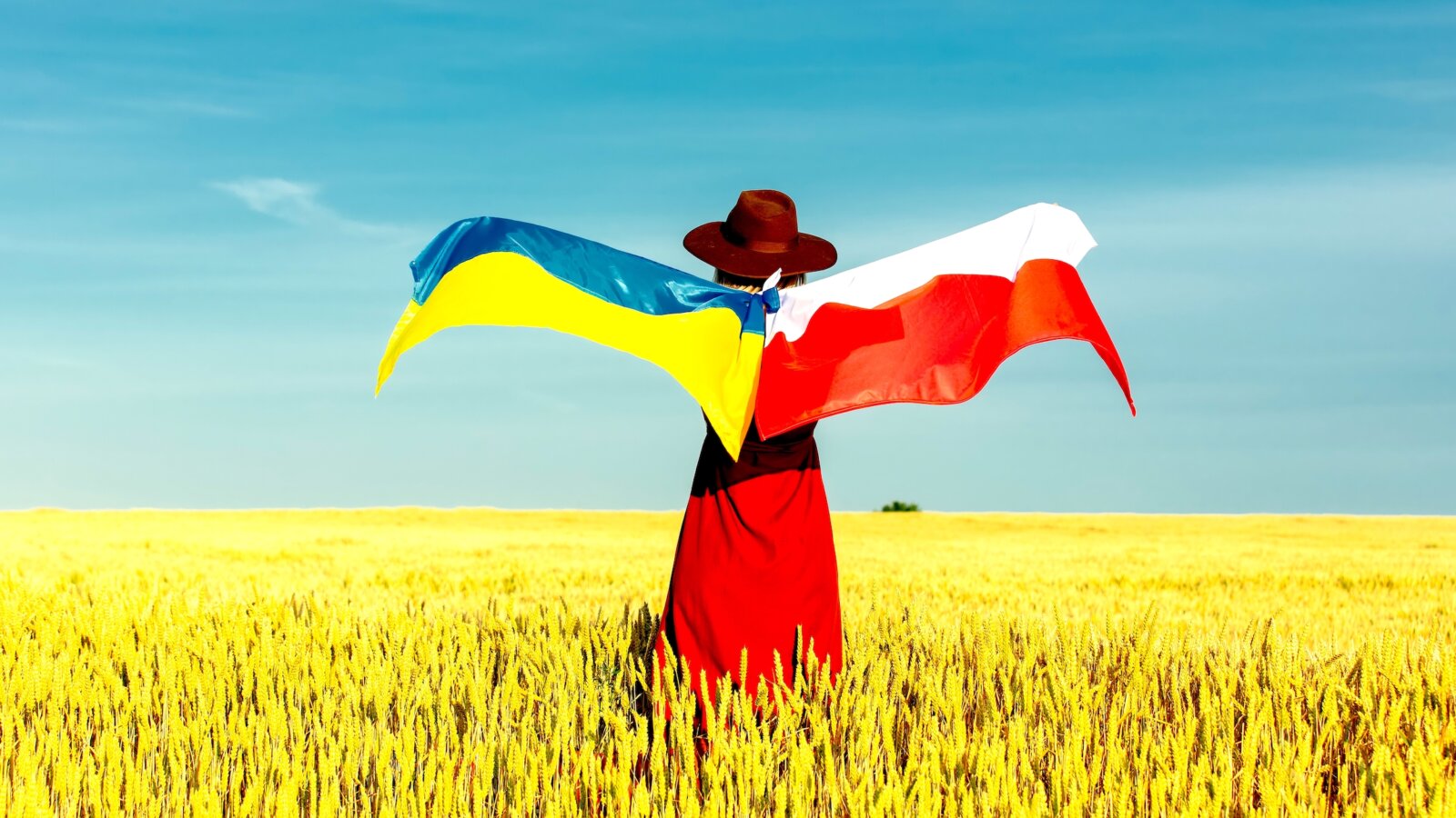 Nadia FEDECZKO: On One Side of the Barricade