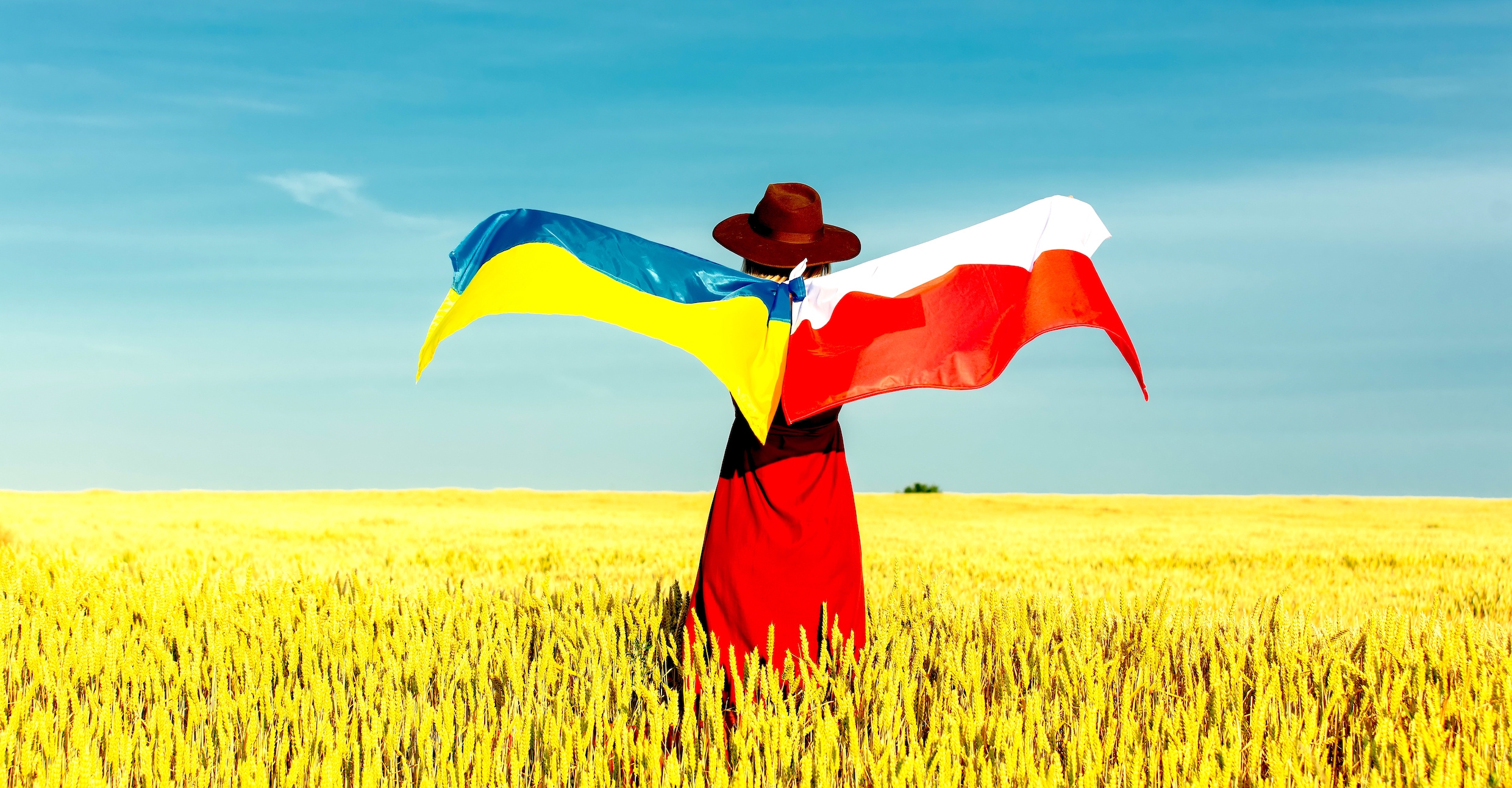 Nadia FEDECZKO: On 1  Side of the Barricade