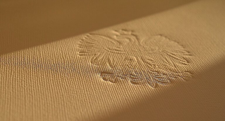 Jacek Saryusz-Wolski