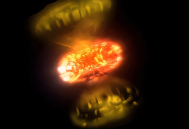 obrazy eksplodujących gwiazd