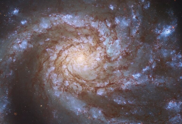 Astronomowie wykonali obserwacje galaktyki spiralnej wchodzącej w skład Gromady w Pannie