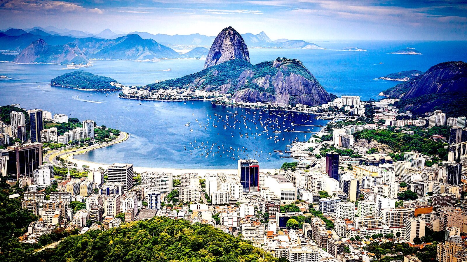 Bogna JANKE: Instytut Polski w Brazylii. Czas opowiedzieć własną historię