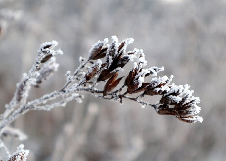 W niedzielę 21 grudnia Słońce znajdzie się w takiej pozycji, że przekroczy punkt przesilenia zimowego, co będzie oznaczało, że nastąpi nowa pora roku: astronomiczna zima. Szybko zapadające ciemności to okazja spojrzenia w gwiazdy.