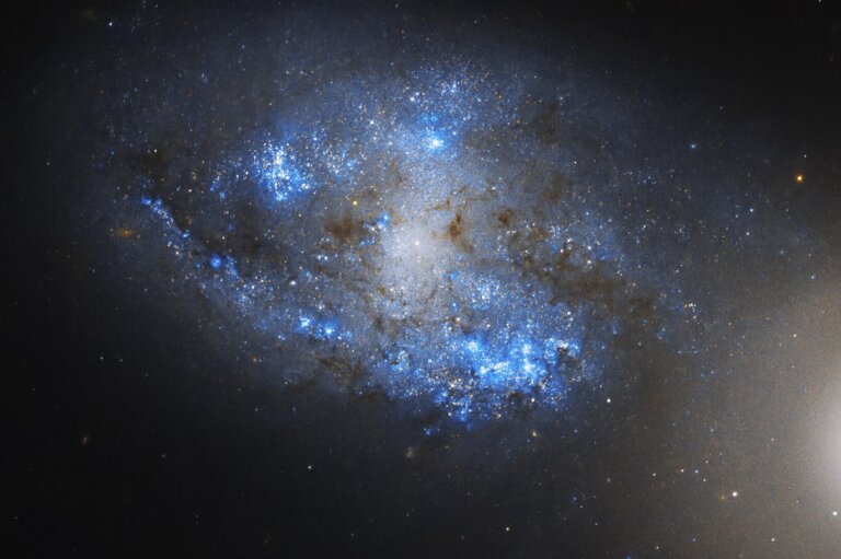 Astronomowie wykonali obserwacje galaktyki spiralnej z poprzeczką w gwiazdozbiorze Wieloryba