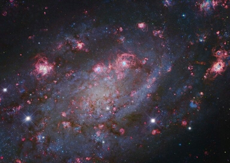 NGC 2403