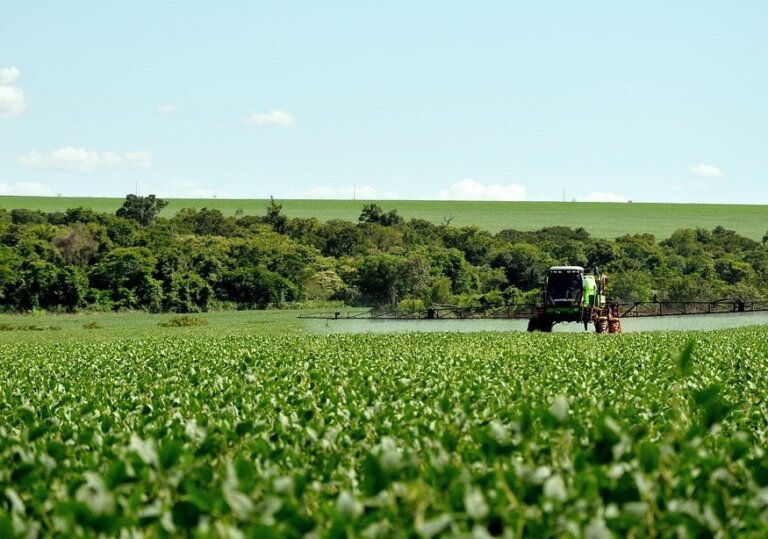 Brazylijscy producenci soi