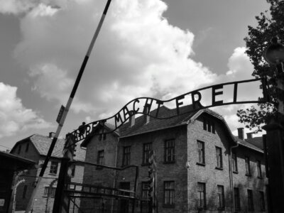 Głównym motywem Holokaustu była zawiść ekonomiczna Niemców wobec Żydów [Goetz ALY]