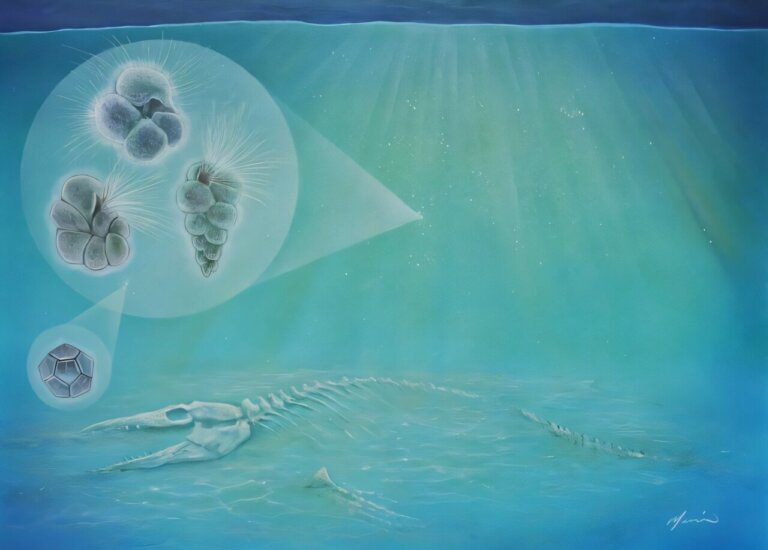 Jak wyglądała ewolucja po wymarciu dinozaurów?