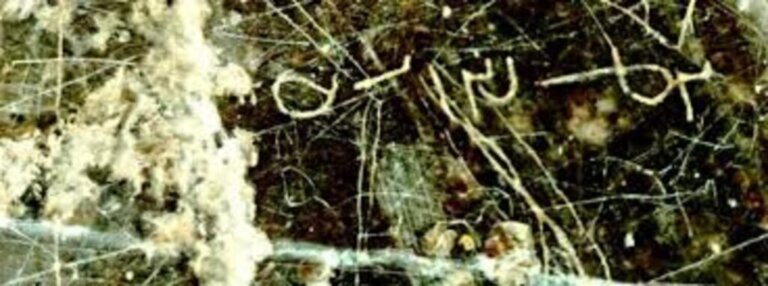 Tajemnicza inskrypcja