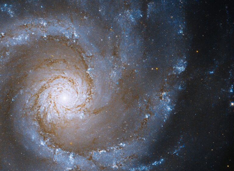 Teleskop Hubble’a zobrazował galaktykę spiralna w gwiazdozbiorze Wielkiej Niedźwiedzicy