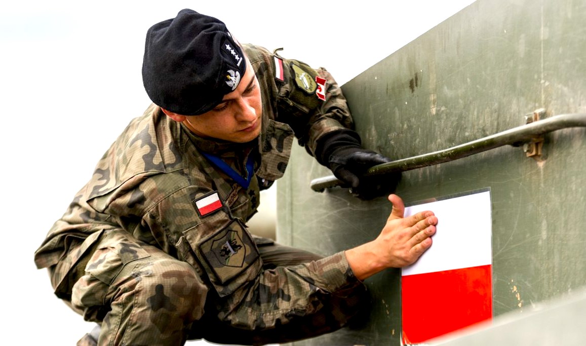 Jan ŚLIWA: Jak się bronić, nie będąc mocarstwem?