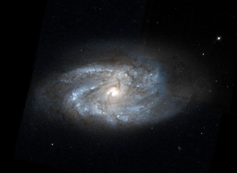 NGC 2964