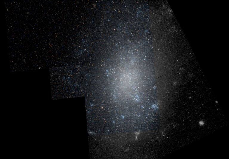 NGC 5204