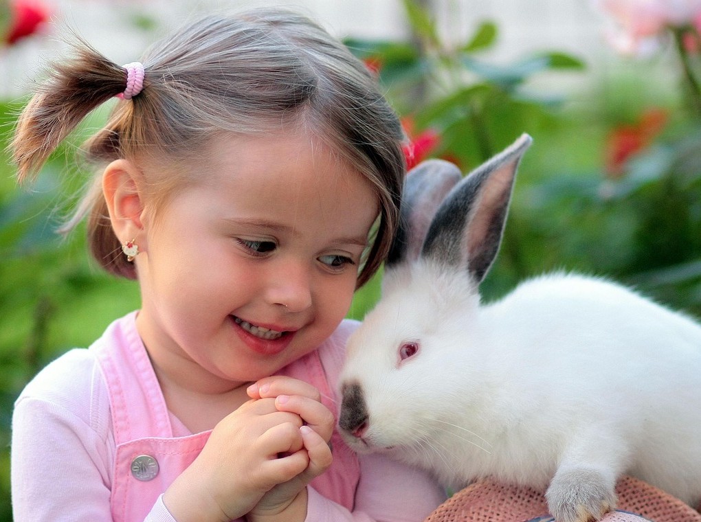 Czy można nauczyć życzliwości i altruizmu?