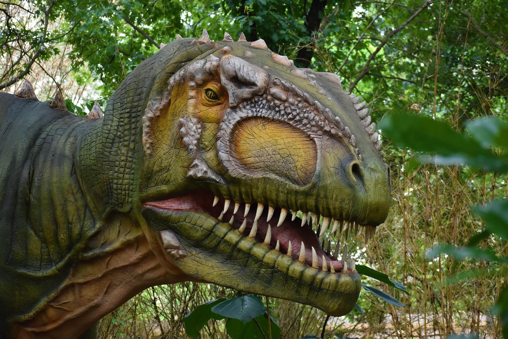 Czym żywiły się drapieżne dinozaury w później jurze?