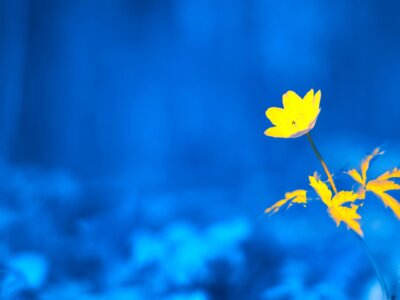 Zdjęcie okładkowe wpisu Michał KŁOSOWSKI: Dostęp do rzeczywistości jest dziś luksusem